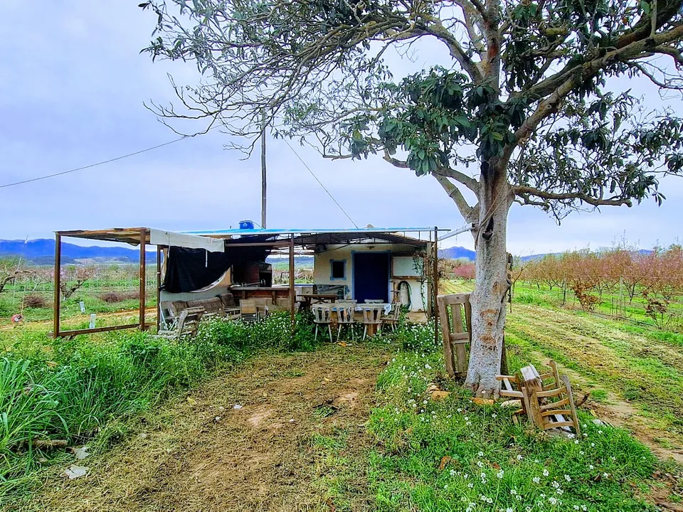 Finca i Ginestar, Tarragona - foto 2